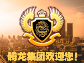 首页-腾龙集团网站【在线业务的丰富经验】